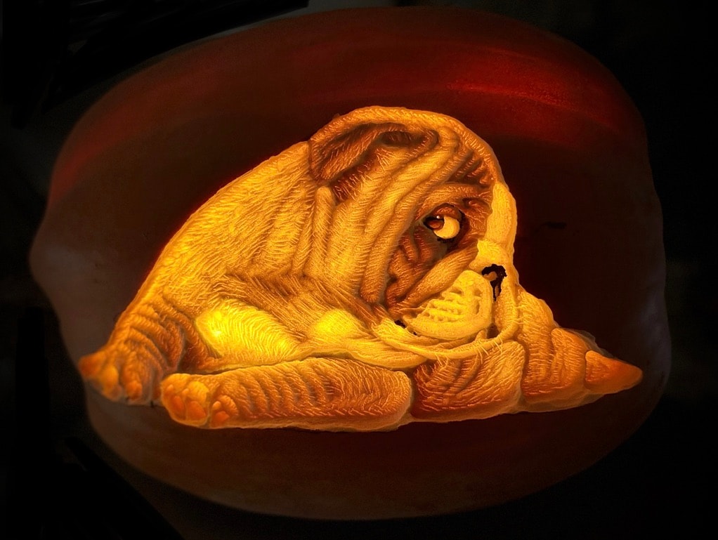 The Bulldog