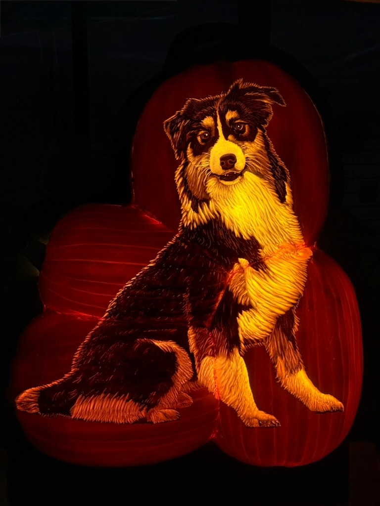 The Aussie