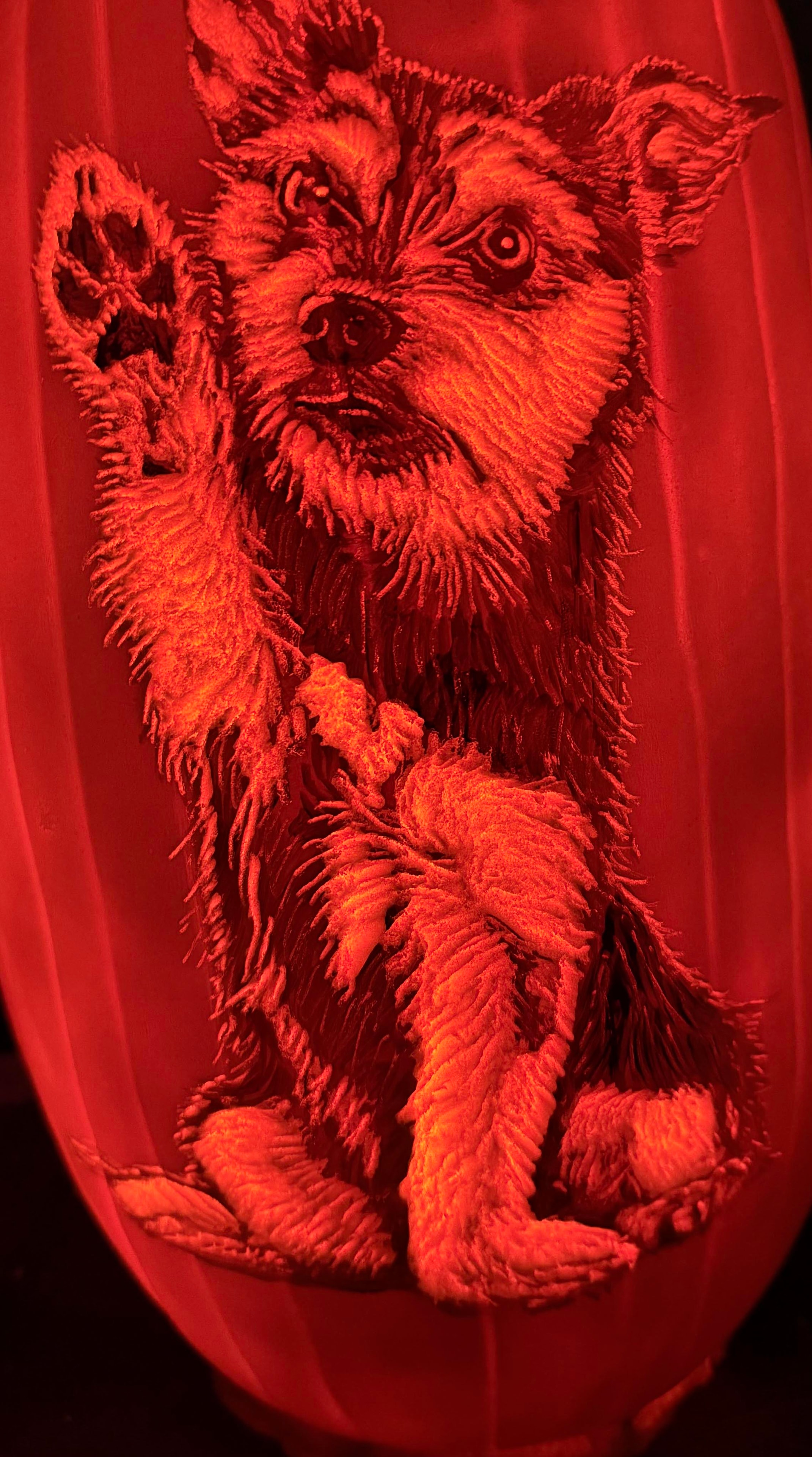 The Greeter